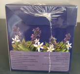 دمنوش گیاهی زنجبیل آنیسا طب سنتی رویال