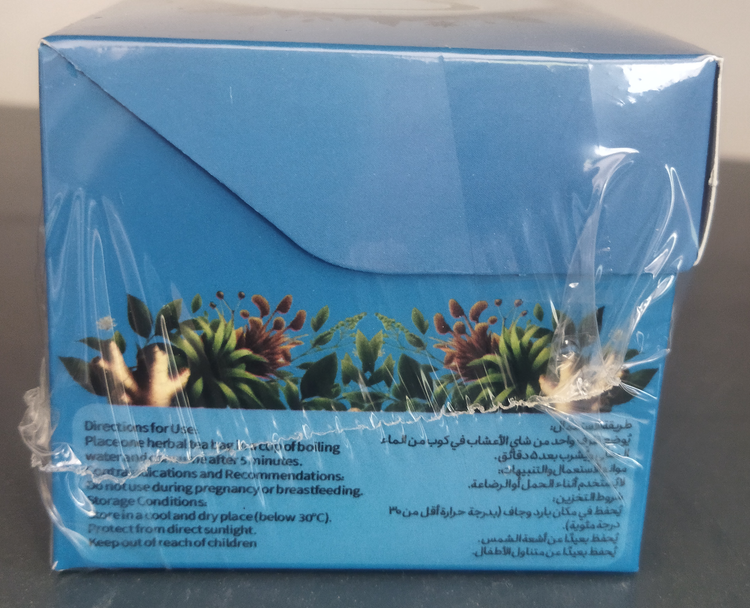 خرید دمنوش زنجبیل آنیسا